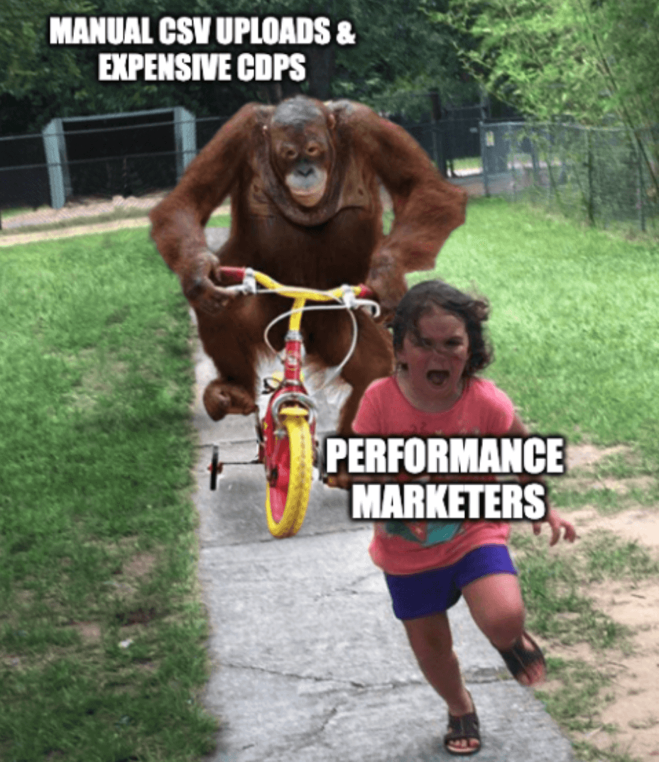 monkey chasing girl meme