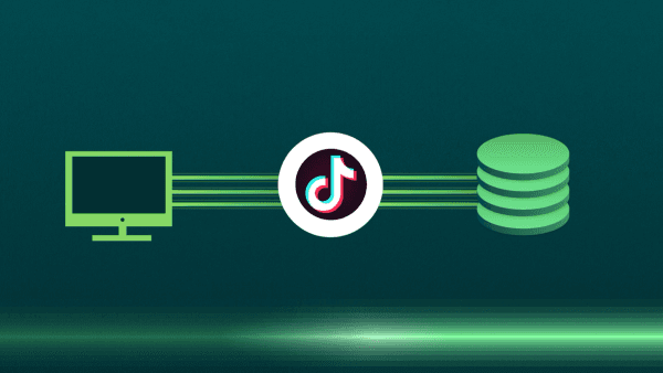 The Marketers Guide to TikTok Data Connections.